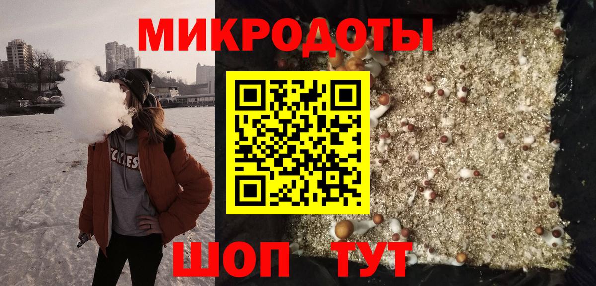 Зеленодольск  Галлюциногенные грибы прущие грибы  Вход с VPN  Галлюциногенные грибы Psilocybe 