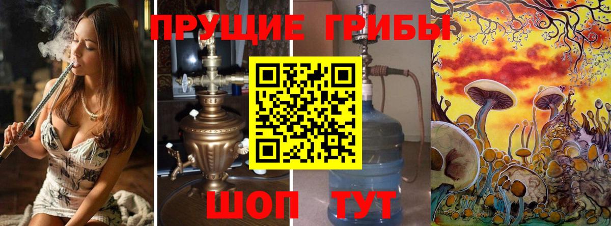 Галлюциногенные грибы Psilocybe Зеленодольск